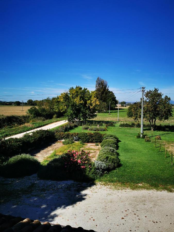 La Casa Dei Tigli Bed & Breakfast Cannara Exterior foto