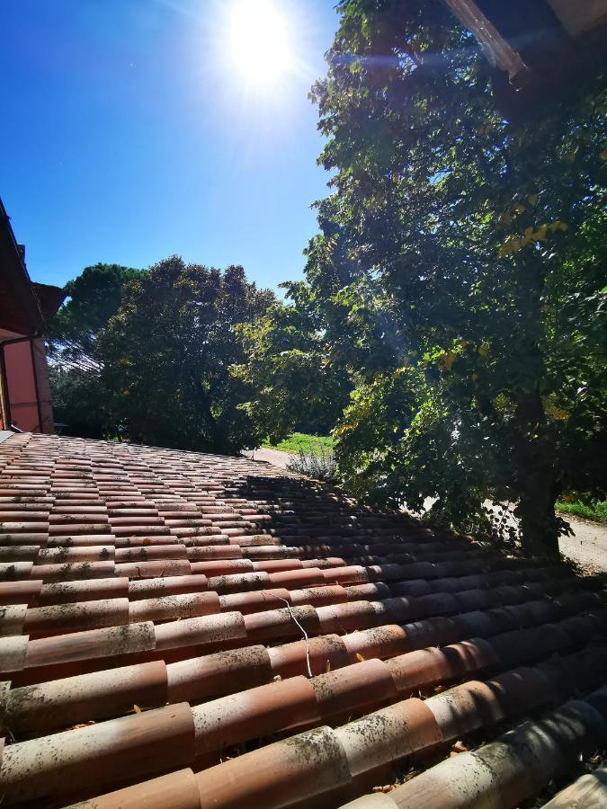 La Casa Dei Tigli Bed & Breakfast Cannara Exterior foto